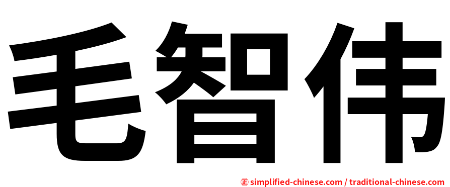 毛智伟