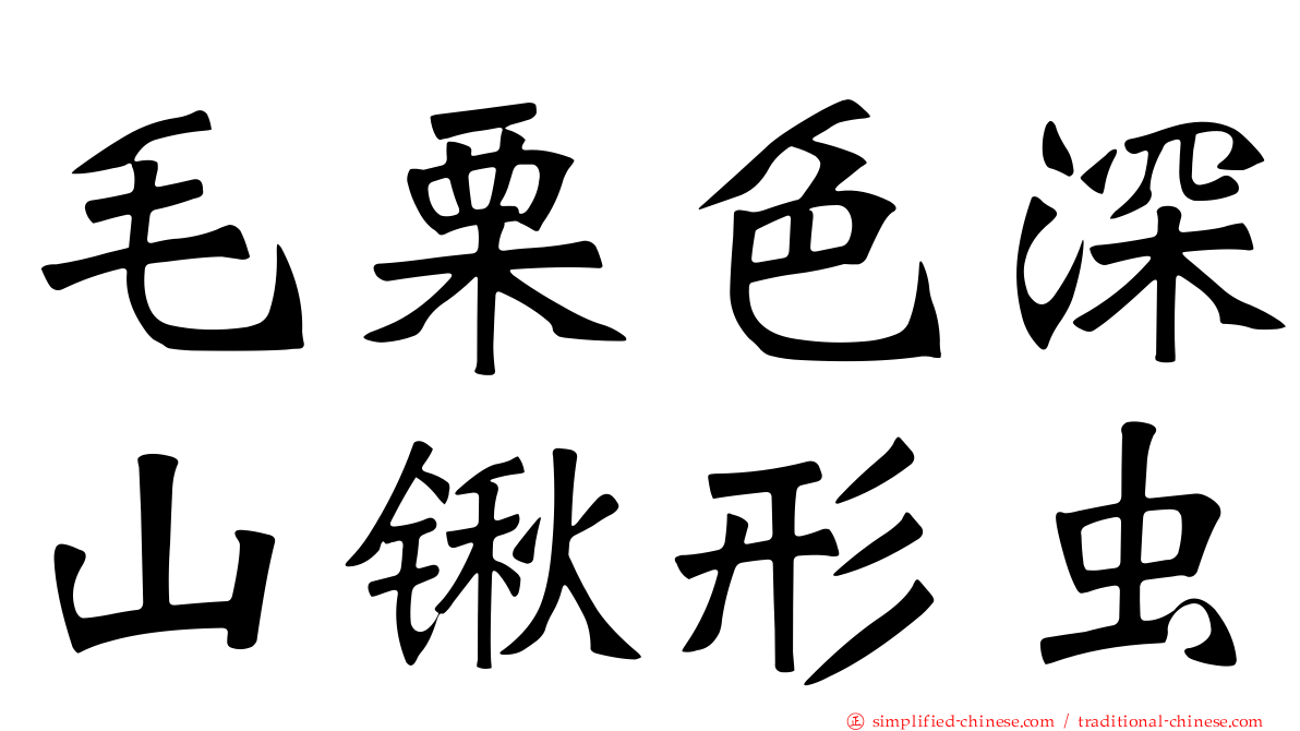 毛栗色深山锹形虫