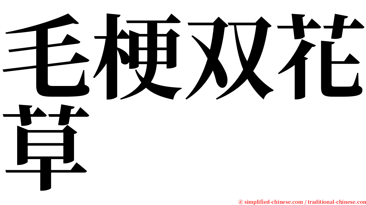 毛梗双花草 serif font