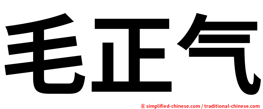 毛正气