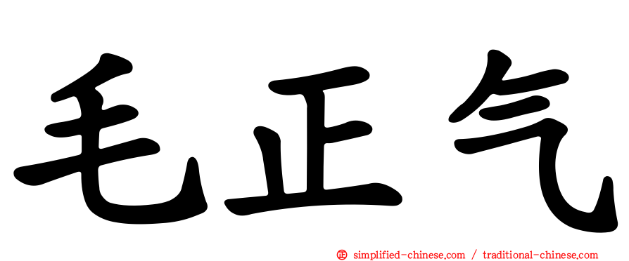 毛正气