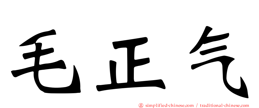 毛正气