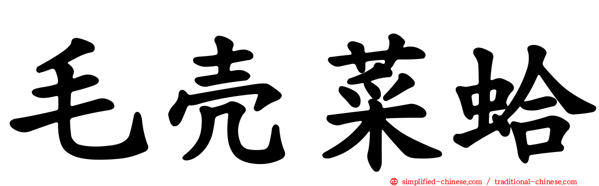 毛壳菜蛤