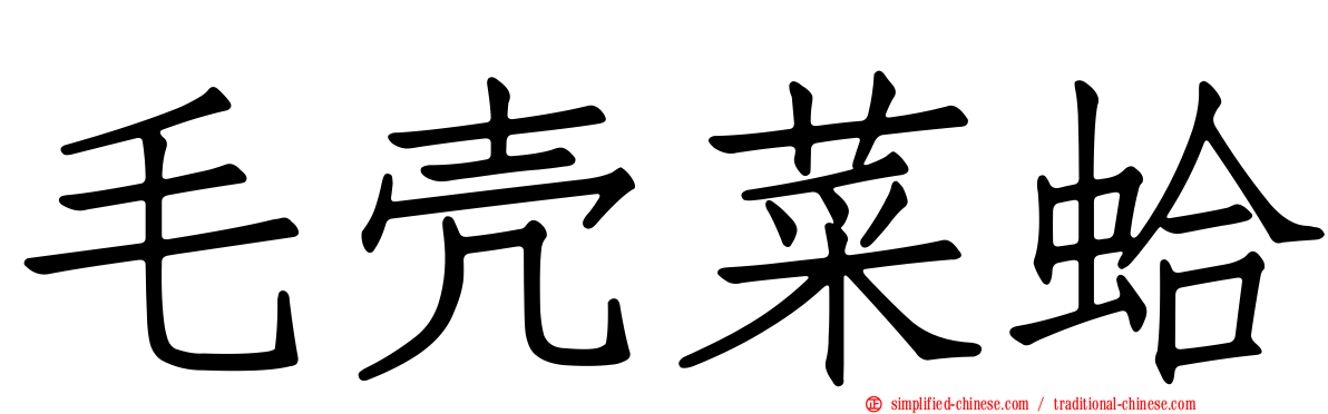 毛壳菜蛤