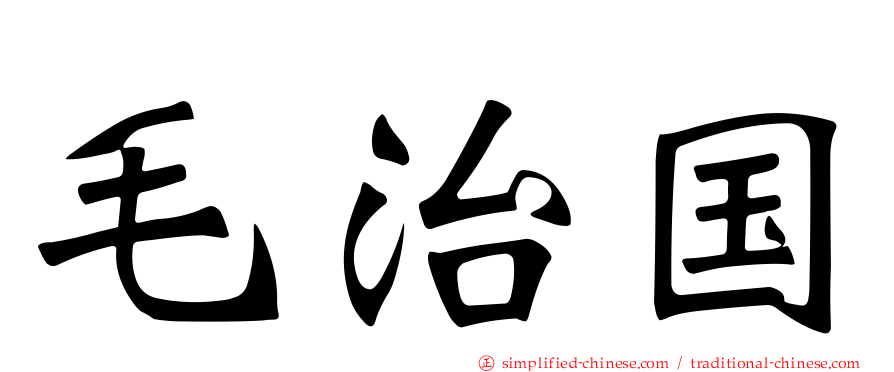 毛治国