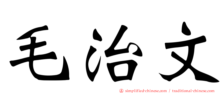 毛治文