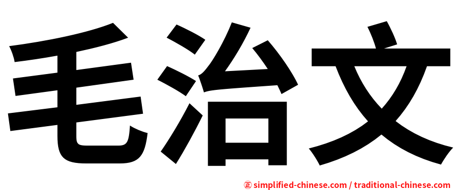 毛治文