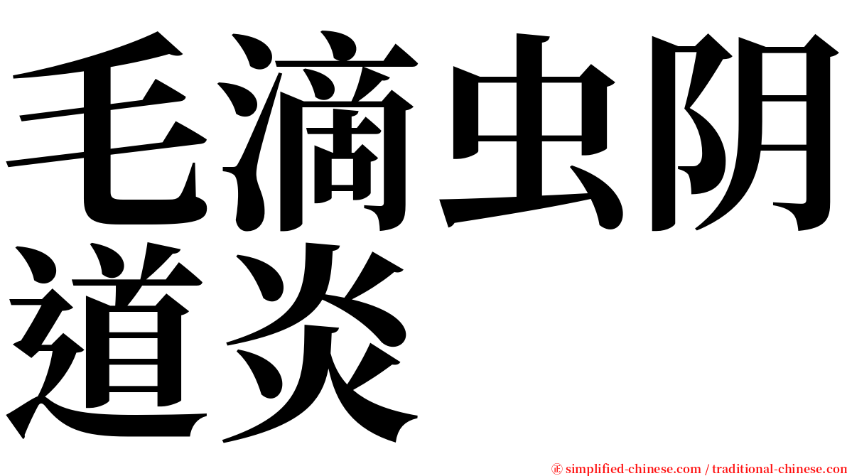 毛滴虫阴道炎 serif font