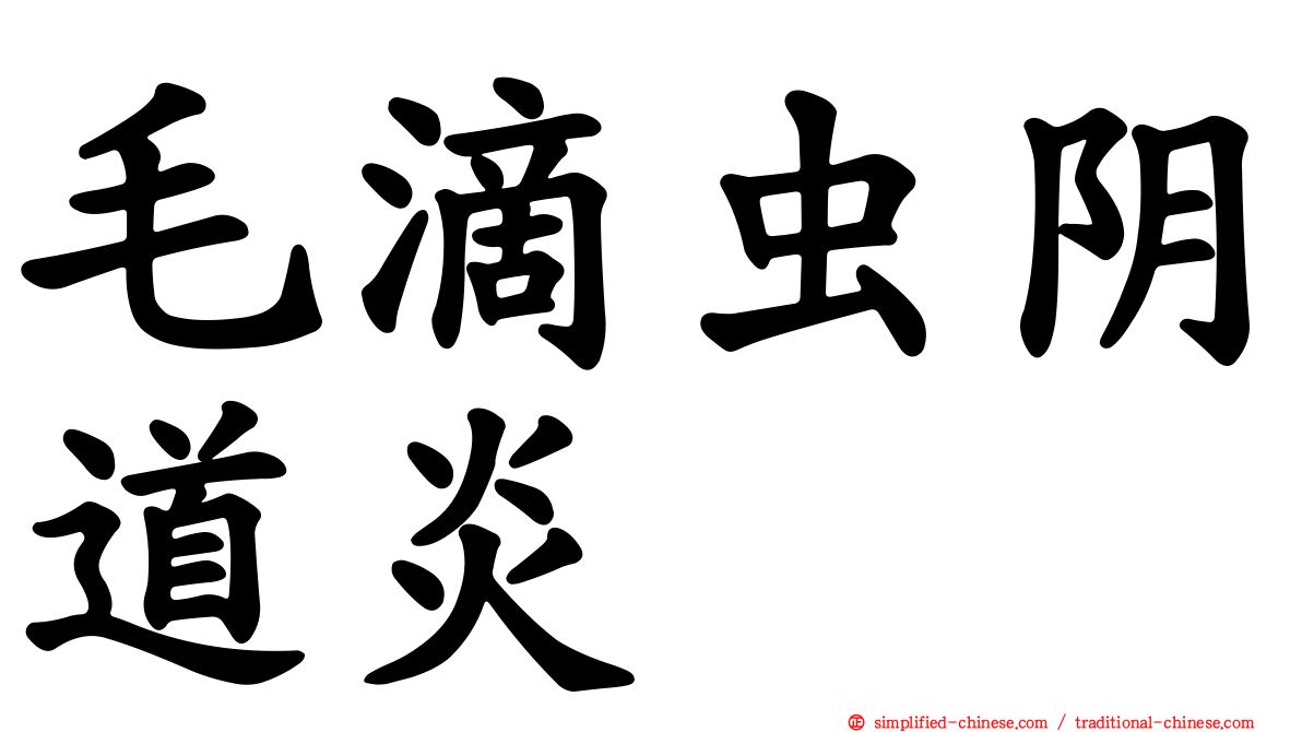 毛滴虫阴道炎