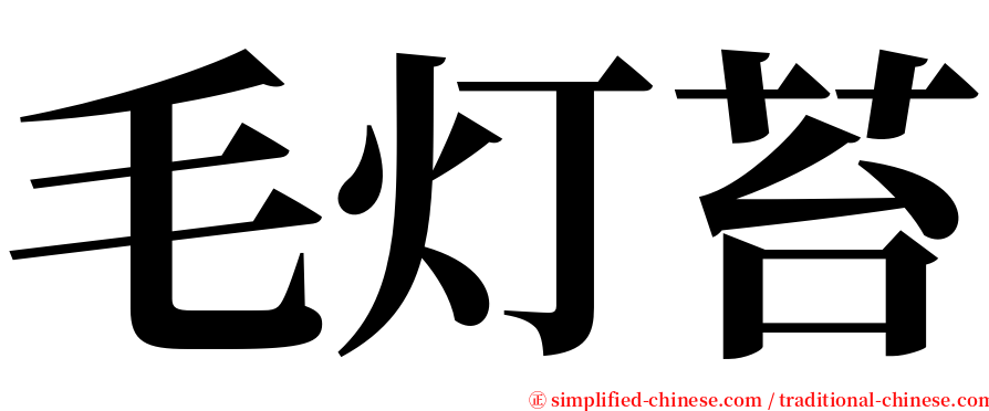 毛灯苔 serif font