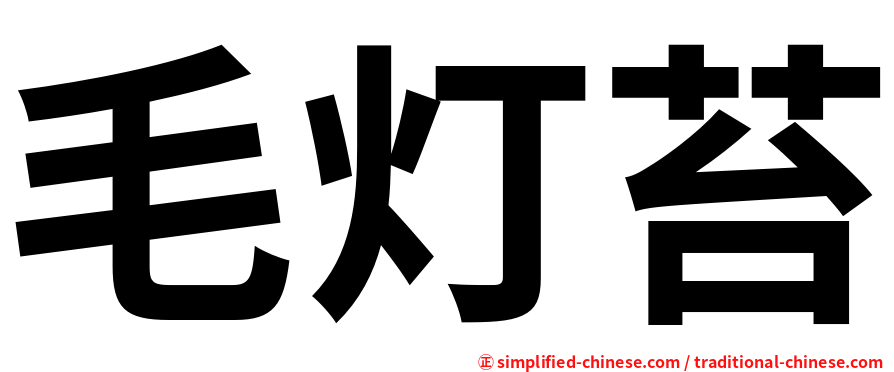 毛灯苔