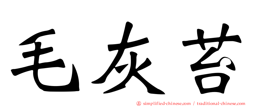 毛灰苔