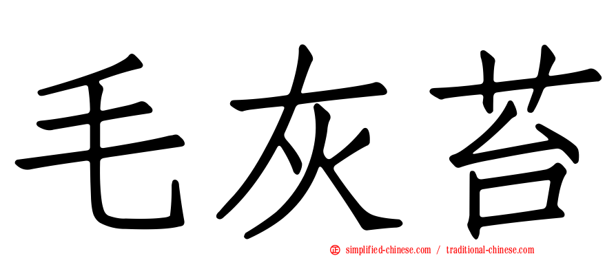 毛灰苔