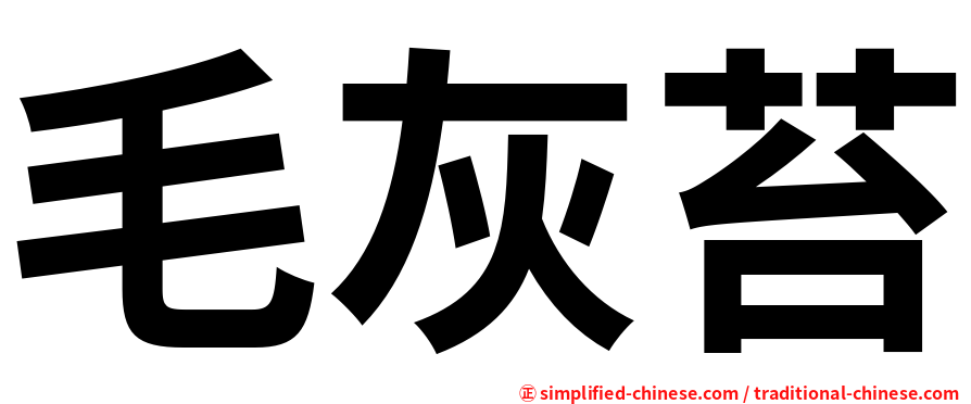 毛灰苔