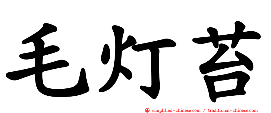 毛灯苔