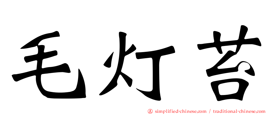 毛灯苔