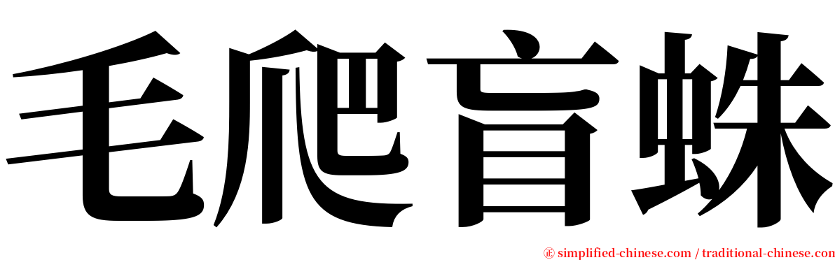 毛爬盲蛛 serif font