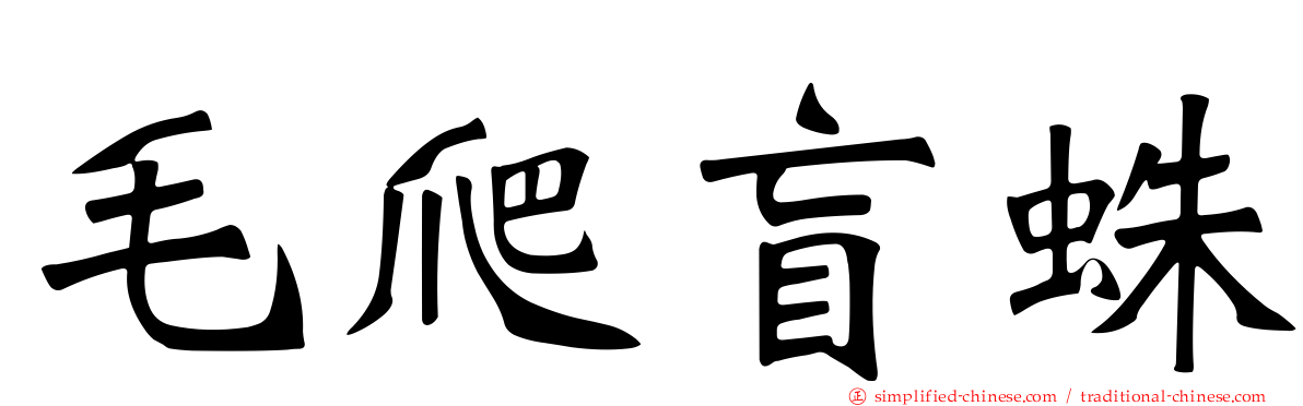 毛爬盲蛛