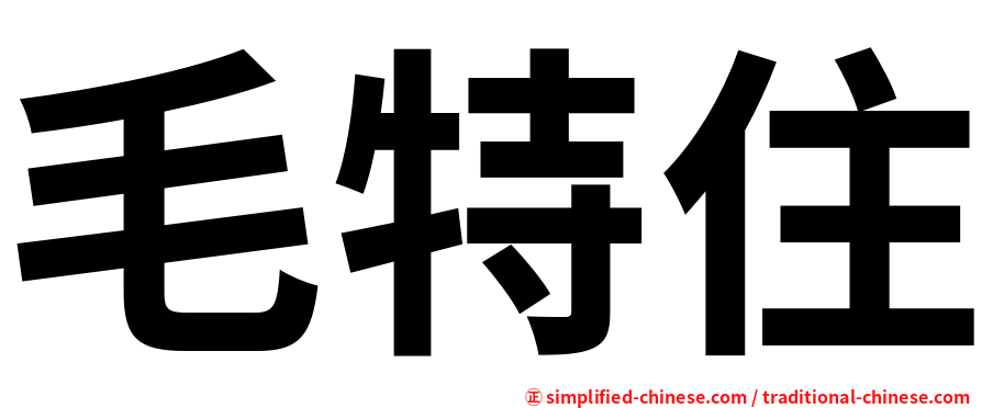 毛特住