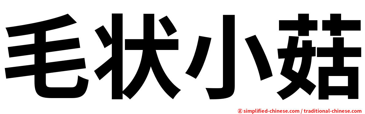 毛状小菇