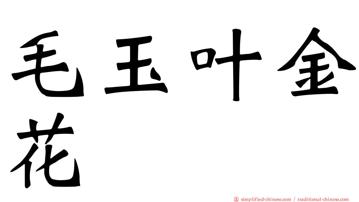 毛玉叶金花