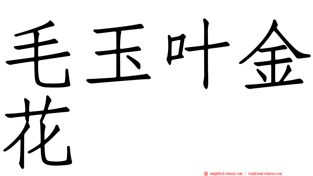 毛玉叶金花