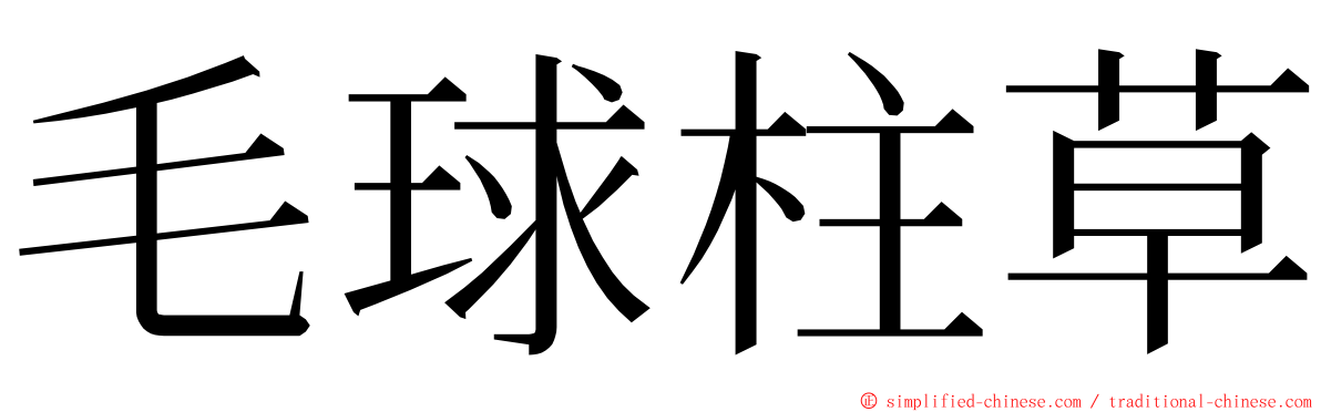 毛球柱草 ming font