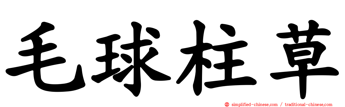 毛球柱草