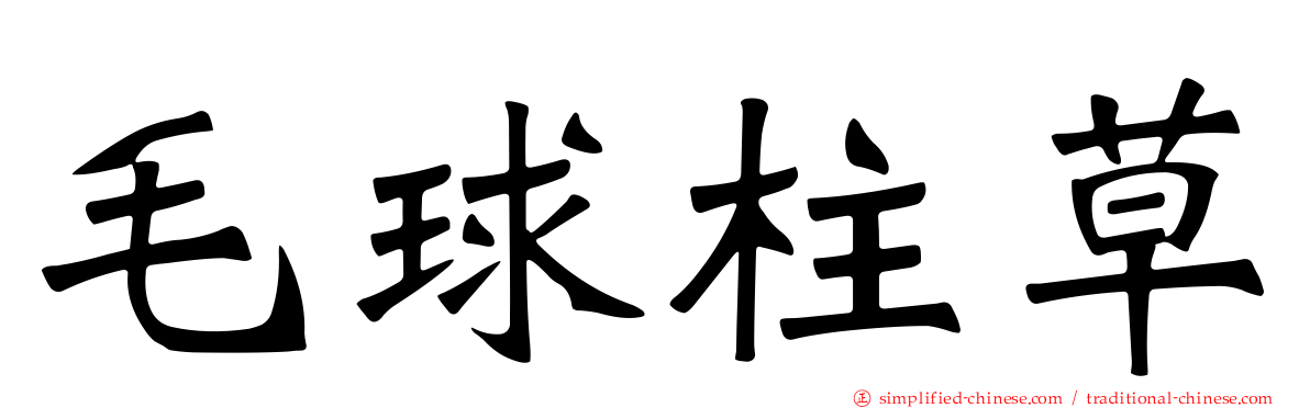毛球柱草