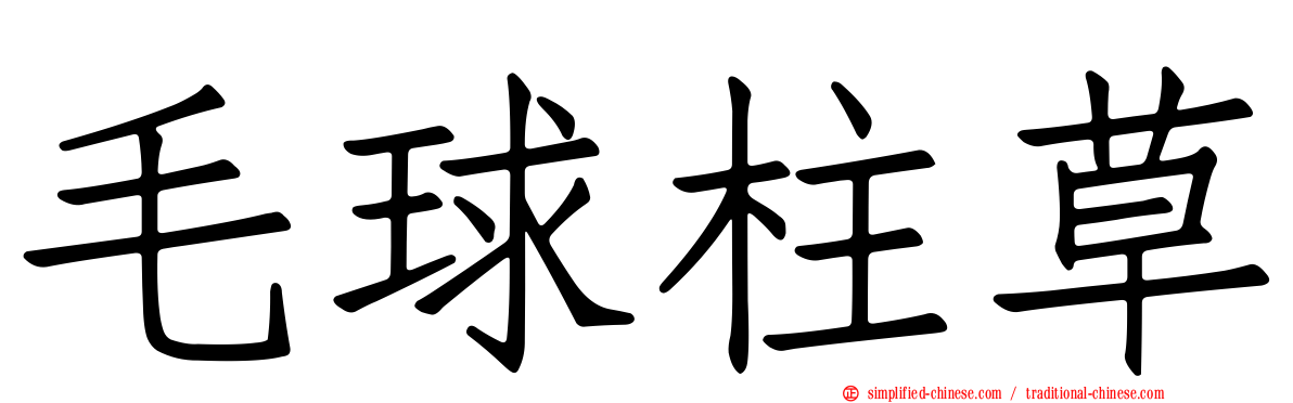 毛球柱草