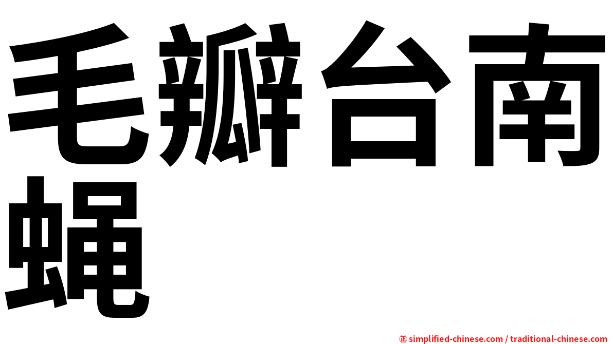 毛瓣台南蝇