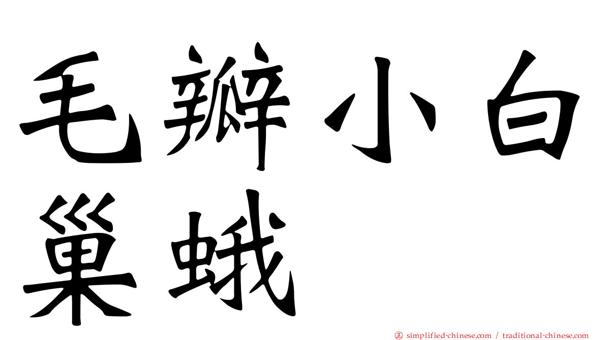 毛瓣小白巢蛾