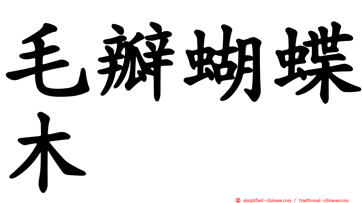 毛瓣蝴蝶木