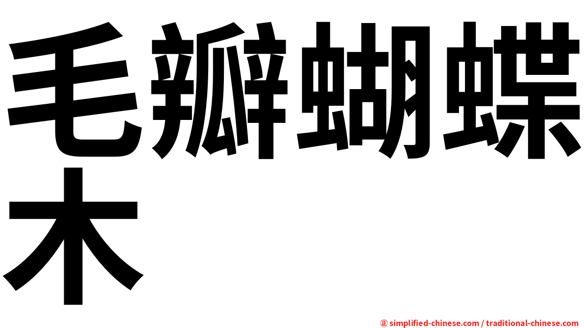毛瓣蝴蝶木