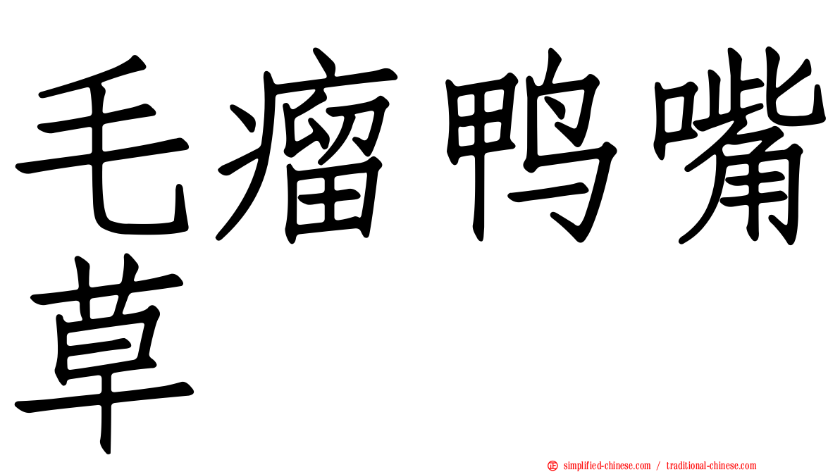 毛瘤鸭嘴草