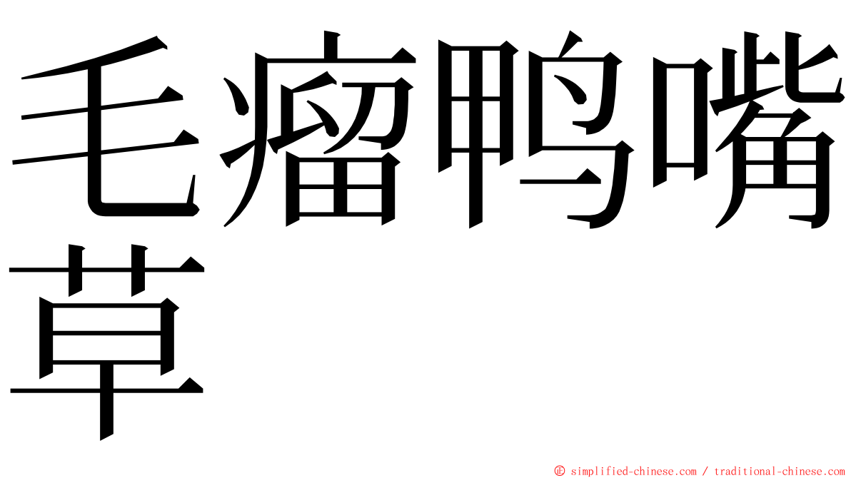 毛瘤鸭嘴草 ming font