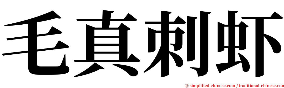 毛真刺虾 serif font