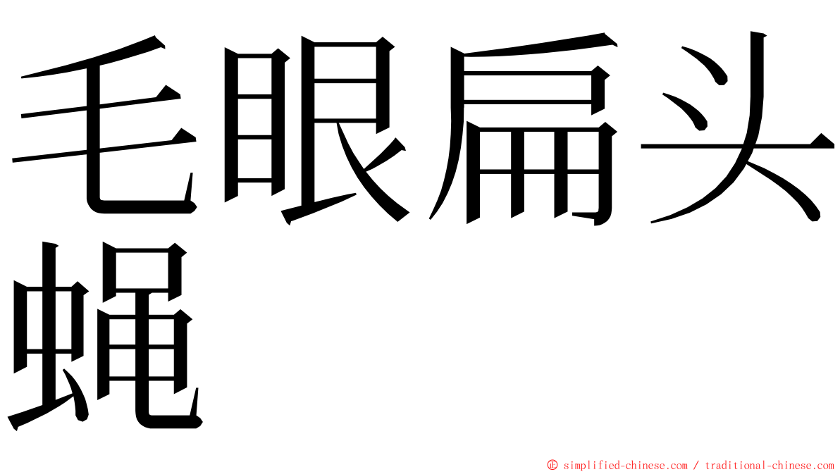 毛眼扁头蝇 ming font