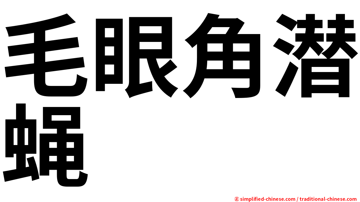 毛眼角潜蝇