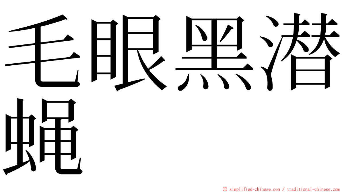 毛眼黑潜蝇 ming font