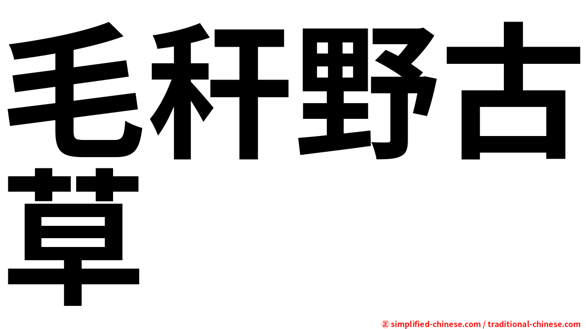 毛秆野古草