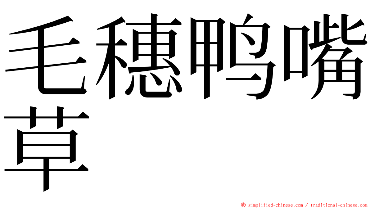 毛穗鸭嘴草 ming font