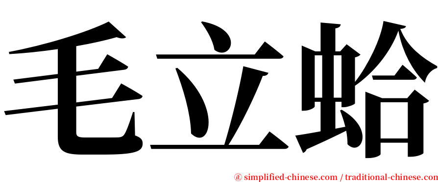 毛立蛤 serif font