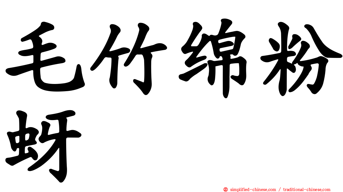 毛竹绵粉蚜