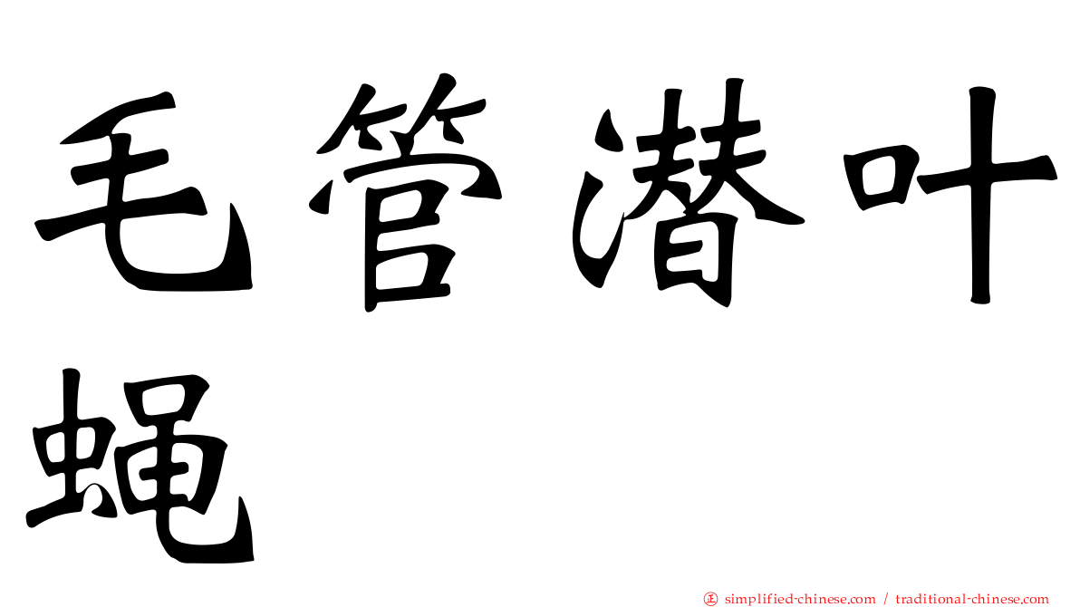 毛管潜叶蝇