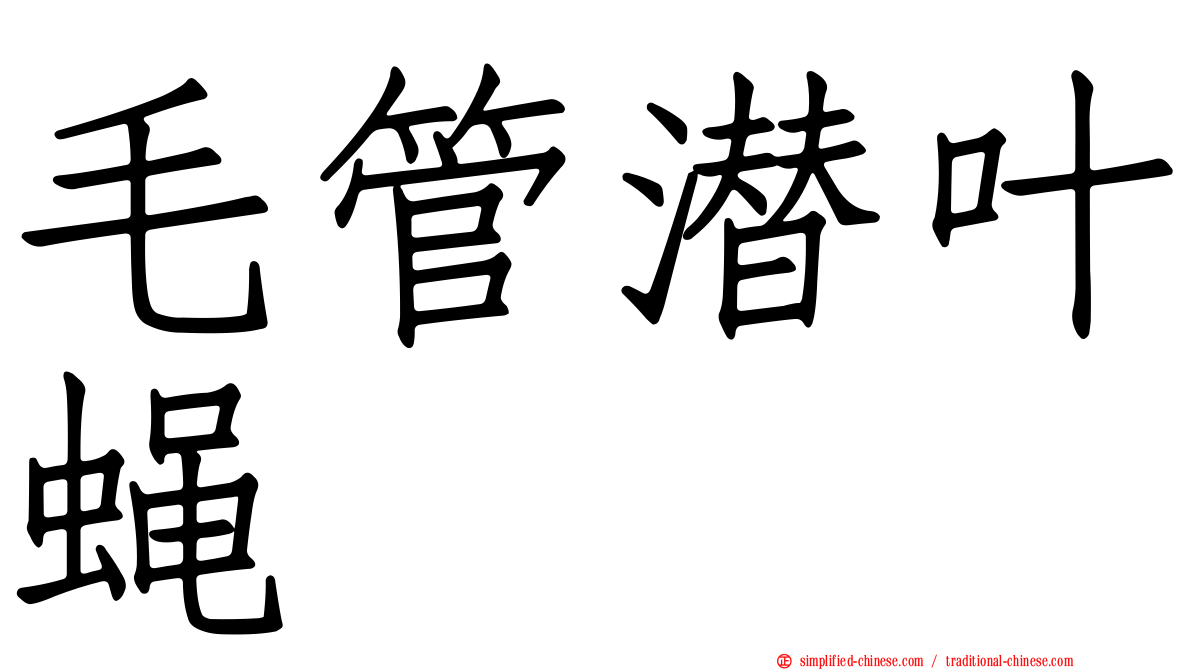 毛管潜叶蝇