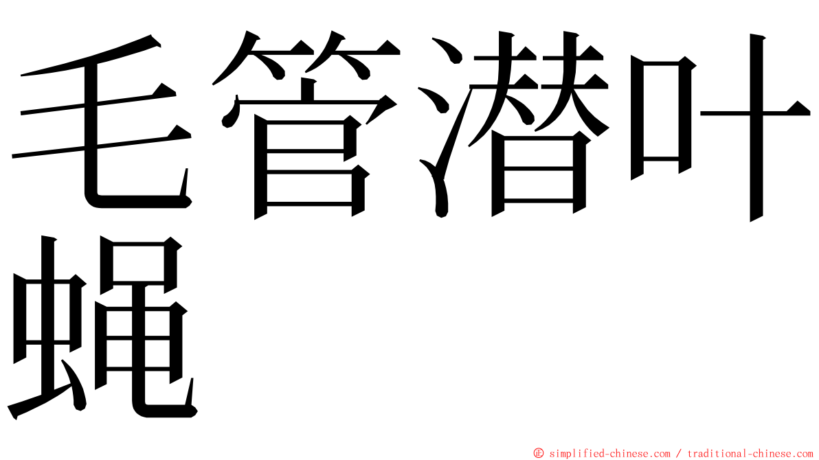毛管潜叶蝇 ming font