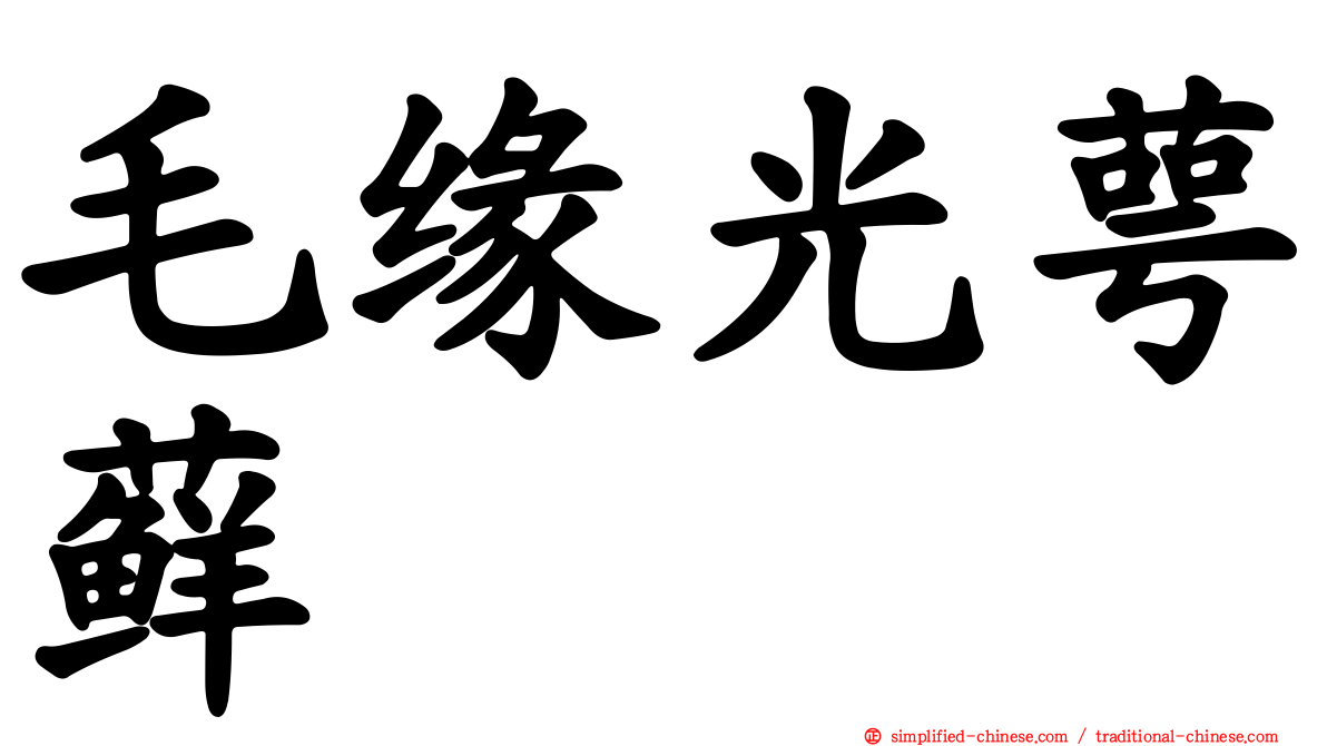 毛缘光萼藓