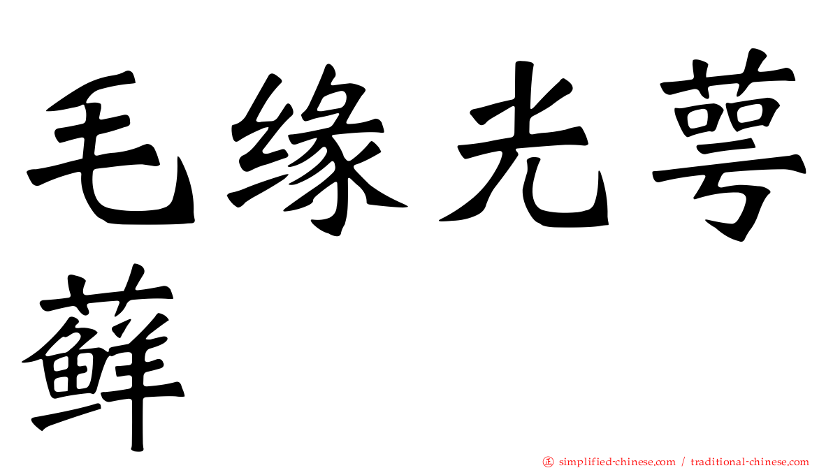 毛缘光萼藓
