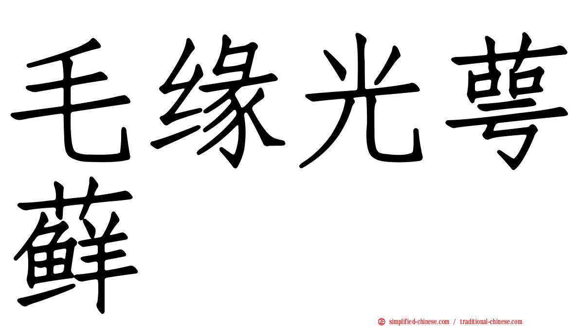 毛缘光萼藓
